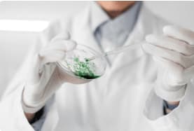 campione di batterio legionella