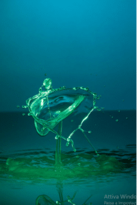 acqua di acquario dolce