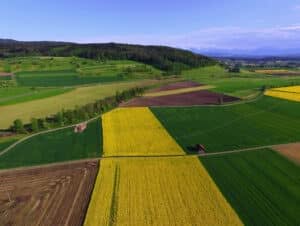 terreno agricolo