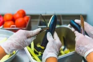 haccp consulenza
